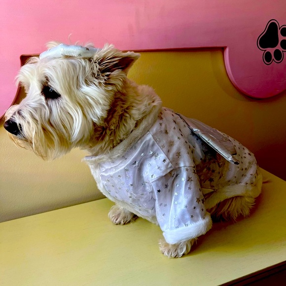 Angel Costume with Headpiece. White metallic fabric with faux fur trim. - Picture 1 of 8